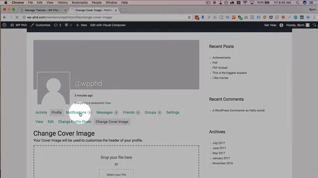 Buddypress Profiles - What Users Can And Cannot Do With Them смотреть онлайн