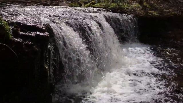 Пороги р. Копорки смотреть онлайн