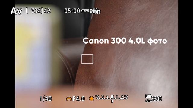 Скорость автофокуса в режиме видео на Canon смотреть онлайн