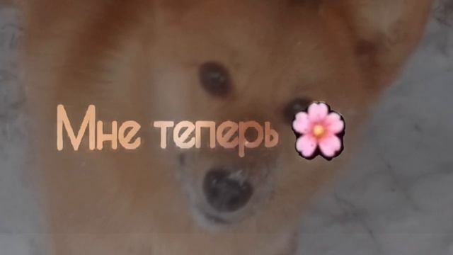Без тебя жизни нет 💔 смотреть онлайн