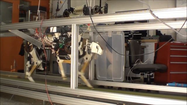 MIT Cheetah runs at 22 km/h, Gait transition from trot to gallop смотреть онлайн