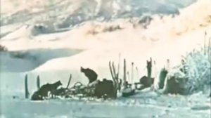 Кола Бельды–мы поедим мы помчимся на оленях