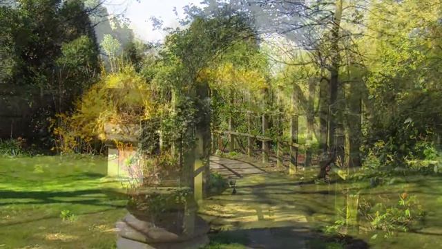 Photos taken with my Canon Powershot SX420 Camera. смотреть онлайн