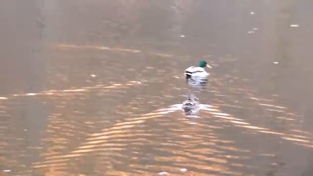 Где брать ВДОХНОВЕНИЕ ДЛЯ ТВОРЧЕСТВА? смотреть онлайн