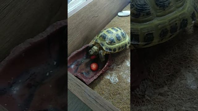 30 апреля 2023 г.