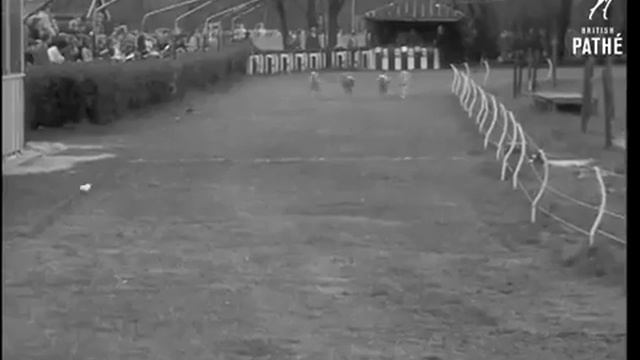 Greyhound Racing 1966 смотреть онлайн
