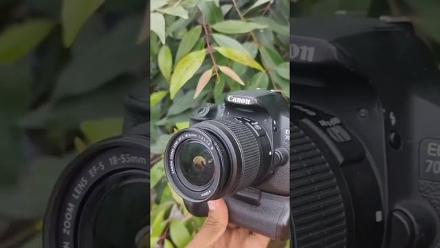 Canon 700d dslr camera status video смотреть онлайн