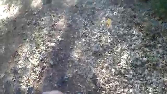 Бомже-тележка выживальщика