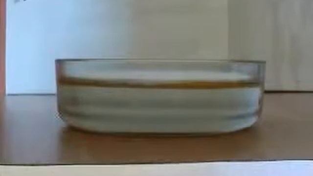 SORBENT VIDEO смотреть онлайн