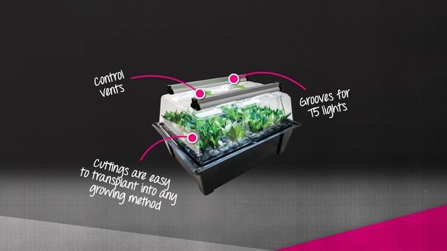 X-Stream Aero 80 Plant Propagator смотреть онлайн