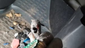 Опель корса д 2008 1.4 ремонт моторчика отопителя на ура за копейки ????️