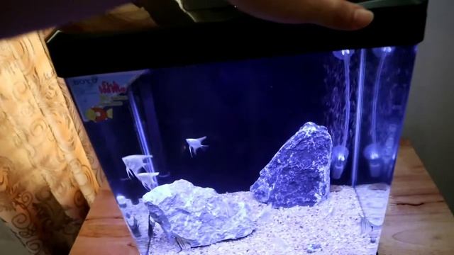 Aquarium Boyu EC-400 | Birthday Gift смотреть онлайн