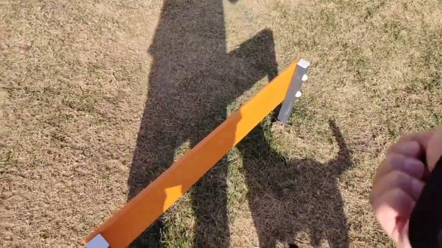 Дрессировка, прогулка. Выдержка, команда на месте.  Пти брабансон. Грифон.