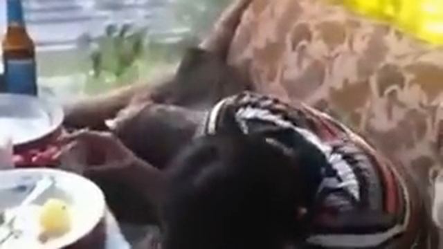 Лучший тост современности! Не капли не пьяный! смотреть онлайн