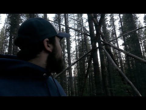 The CREEPIEST Woods in North America