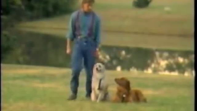 Dikeman Heeling Offlead : Command Performance DTV  Great!