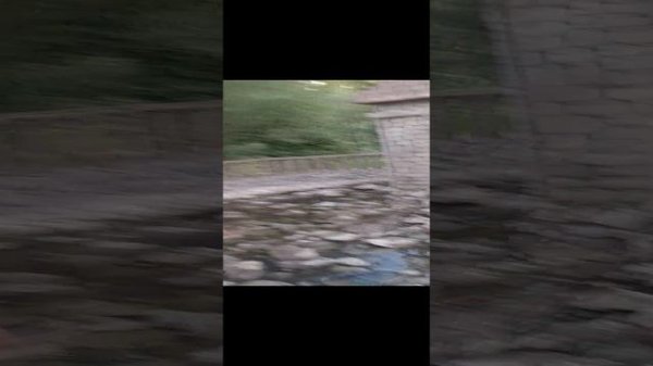 ребята всем привет  это последний часть 24 часа на болоте наши 1-2 часть на моем ютуб канале Getap Y