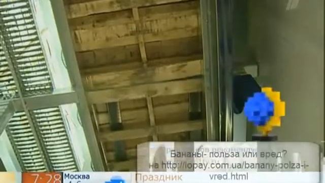 Учимся выбирать сладкие и спелые бананы смотреть онлайн