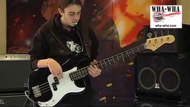 William'son WWP-Bass BLACK BIRD.mov смотреть онлайн