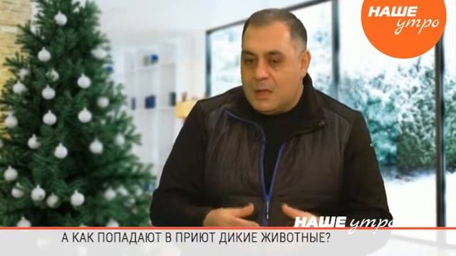 Карен Даллакян зоозащитник о приюте для диких животных «Спаси меня» смотреть онлайн