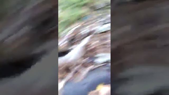 Ручей по улице.Героев Варяга во Владивостоке....наша культура....вот так мы живём... смотреть онлайн