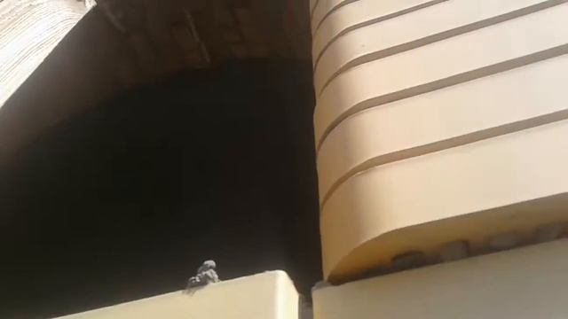 У нас получается вот такая круглая арка