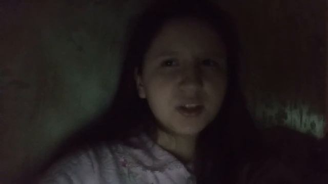 Николай Заболоцкий - "Когда вдали угаснет свет дневной..." смотреть онлайн