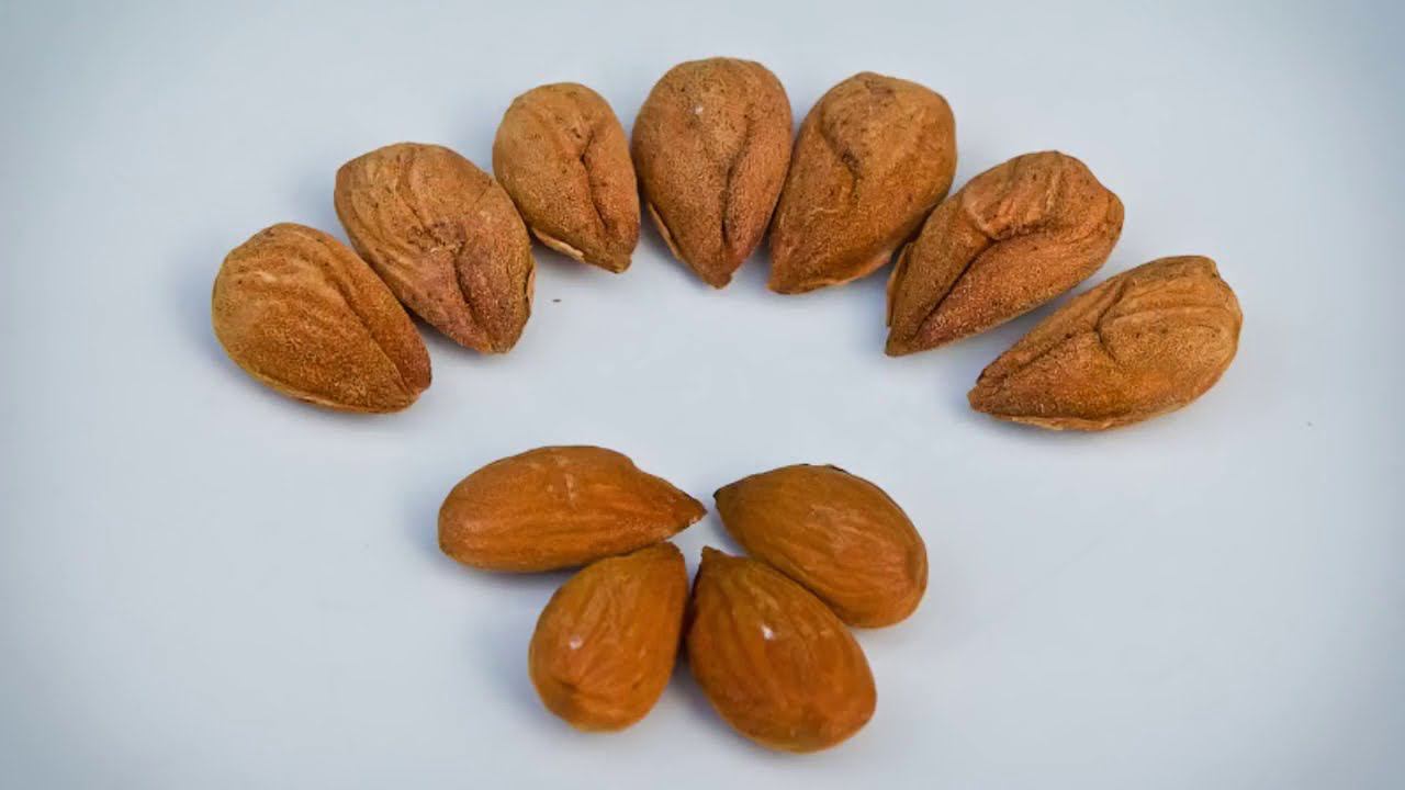 Как собирают и обрабатывают миндаль на Канарах смотреть онлайн