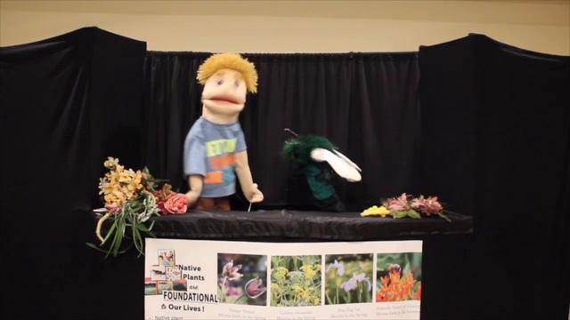 Pollinator Puppet Show: Mason Meets A Mason Bee