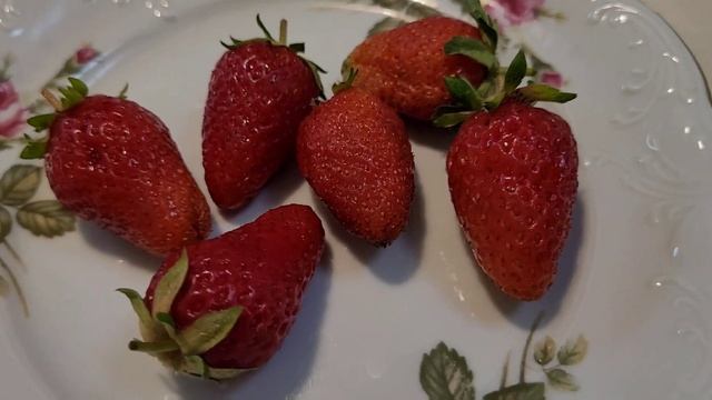 Ремонтантная клубника ?Линоса/29 мая 2023г. смотреть онлайн