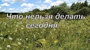 21 августа. МИРОНОВ ДЕНЬ. Народные приметы и традиции