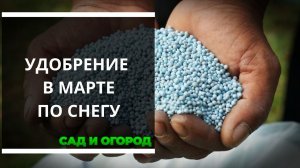 Какие удобрения опытные огородники раскидывают в марте по снегу