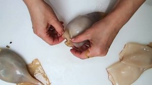 Смотри как приготовить, фаршированные кальмары