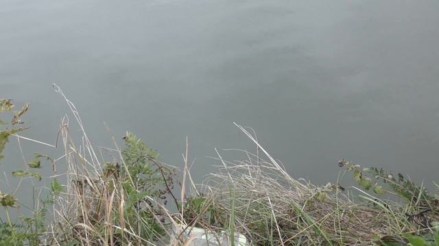 Необычная ловля на отводной поводок !!! смотреть онлайн