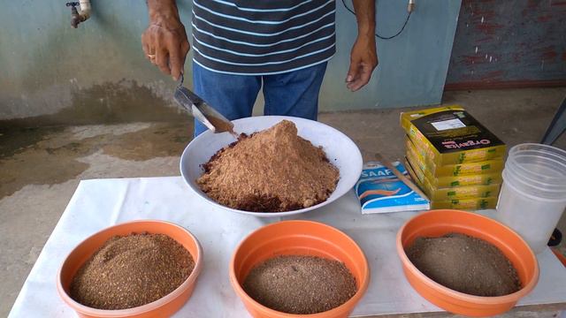 My Secrets of Tons of Adenium Flowers смотреть онлайн
