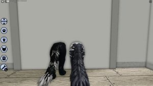 ИЗ КОТОВ-ВОИТЕЛЕЙ в ДОМАШНИХ КОТОВ! / КОТЫ-ВОИТЕЛИ #3 / Warrior Cats Roblox