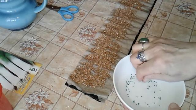 ЛУК ПОРЕЙ! ПОСЕВ НА РАССАДУ! смотреть онлайн