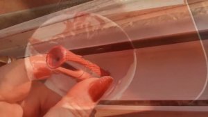 Как обновить помаду/Украшения дня/Загадка: в какой чашке/и т.д.