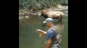 ПРИКОЛЫ НА РЫБАЛКЕ // Я РЖАЛ ДО СЛЕЗ НА РЫБАЛКЕ // ЛУЧШИЕ МОМЕНТЫ НА РЫБАЛКЕ / угар