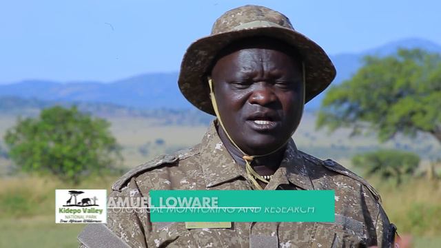 KIDEPO VALLEY NATIONAL PARK DOCUMENTARY (True African Wilderness) #tourism #Kidepo #nationalpark смотреть онлайн