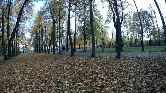Осень в Пушкине - Жизнь в Мегаполисе смотреть онлайн