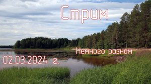 Немного о разном. Тест вспышки Canon 580EXII на R8. Стрим 02.03.2024