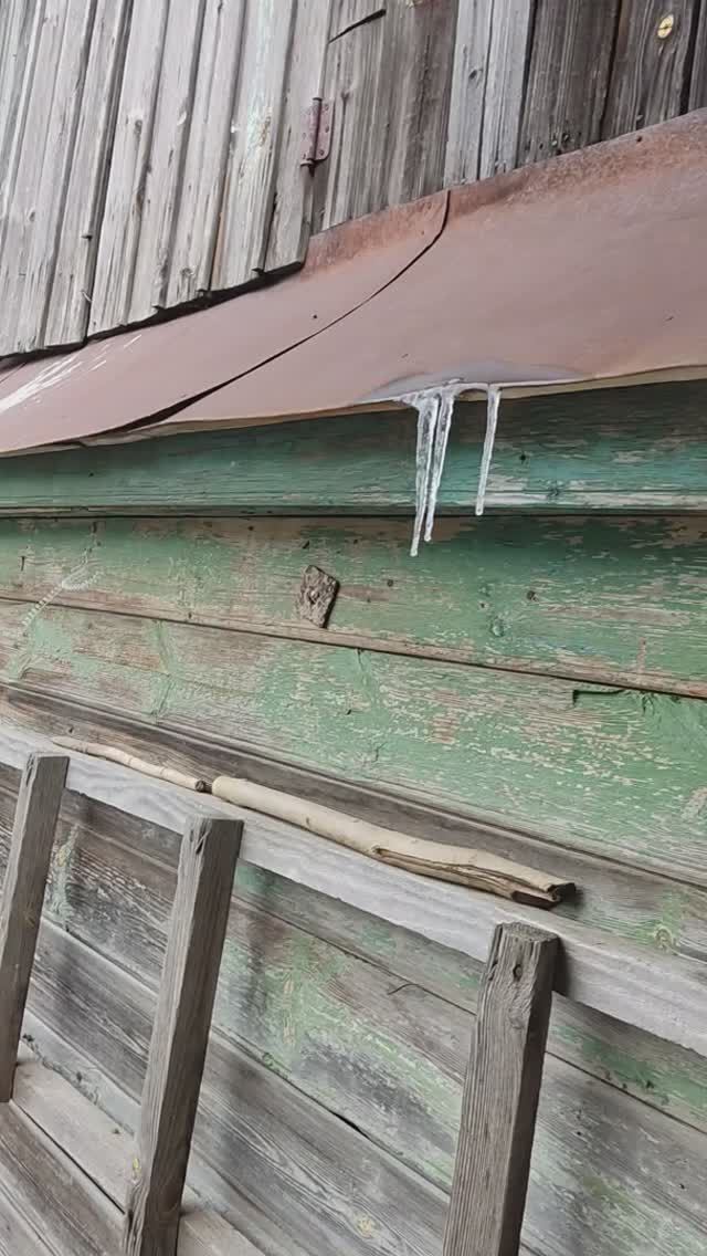 Майские сосульки. Ох уж эти причуды погоды. С Днем Победы! 09052024.