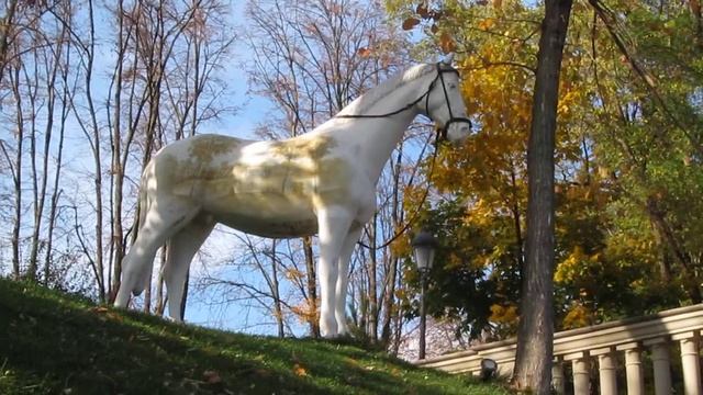 Киев, Парк Межигорье: Красивый Белый Конь смотреть онлайн