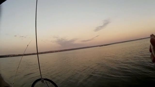 Ловля плотвы на романковских откосах 04 08 15