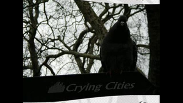 Side Liner - "Crying Cities" from "Crying Cities" (2009) смотреть онлайн