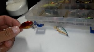 ТОП ВОБЛЕРОВ НА ГОЛАВЛЯ. БЛЕСНА НА ГОЛАВЛЯ