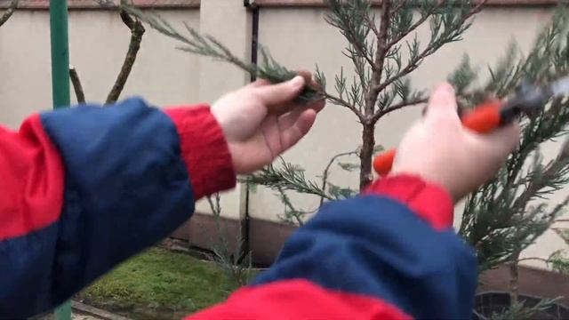 Создаем Ниваки. МАСТЕР КЛАСС смотреть онлайн