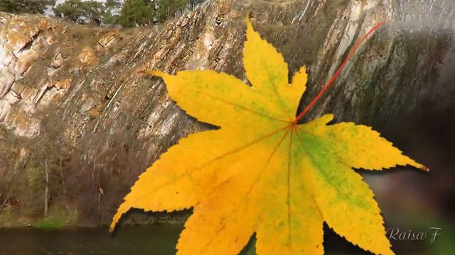 Осенний мотив смотреть онлайн