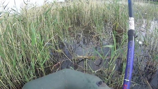 июньская рыбалка